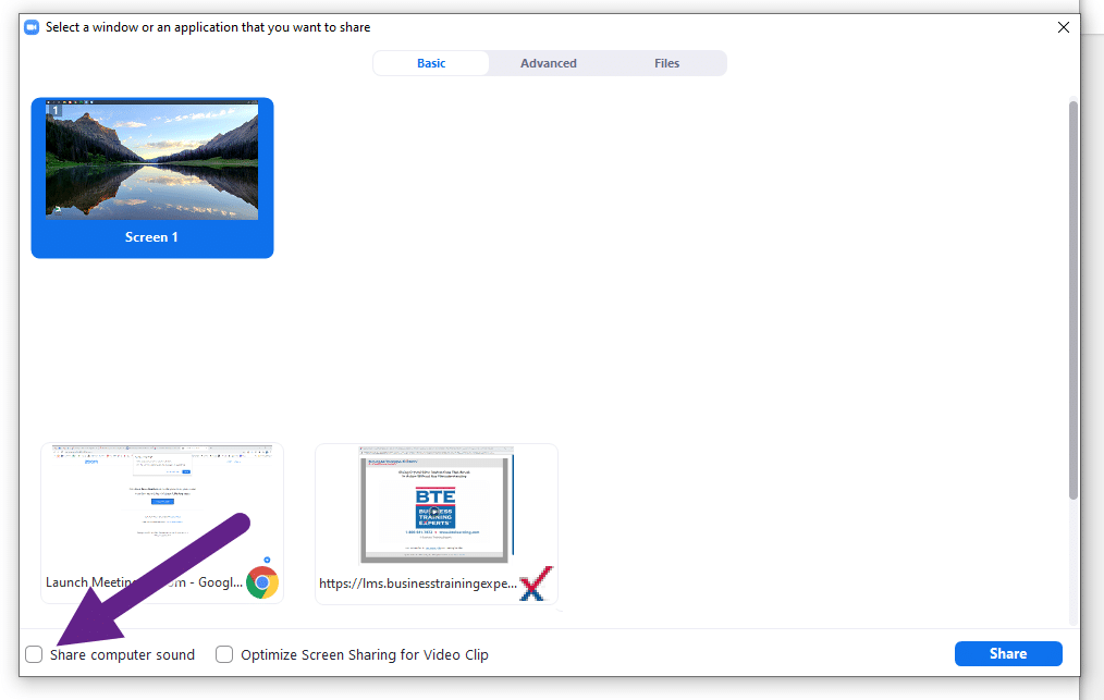 zoom-share-computer-sound | Business Training Experts